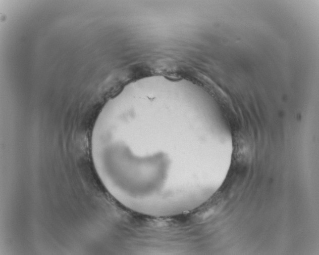 X0000089370523200707061117