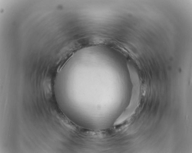 X0000089370524200707061117