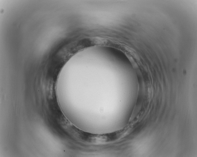 X0000089370525200707061117