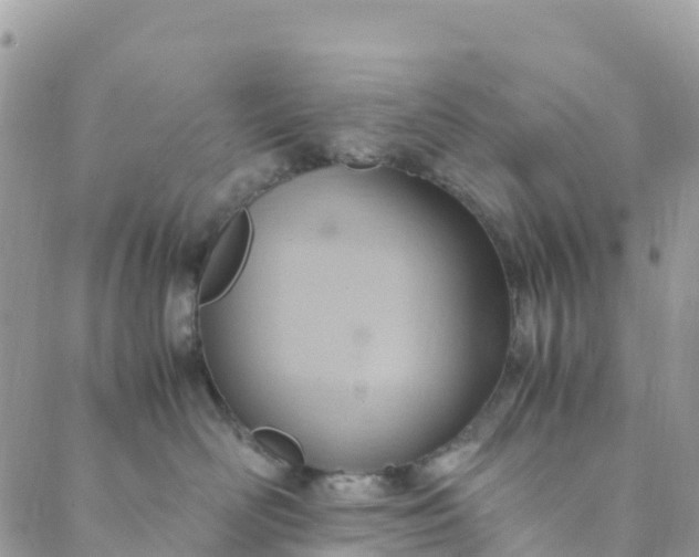 X0000089370526200707061117