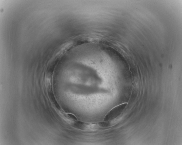 X0000089370527200707061117