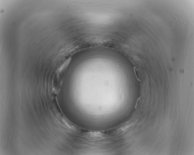 X0000089370528200707061117