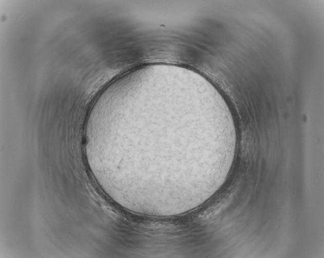 X0000089370529200707061116