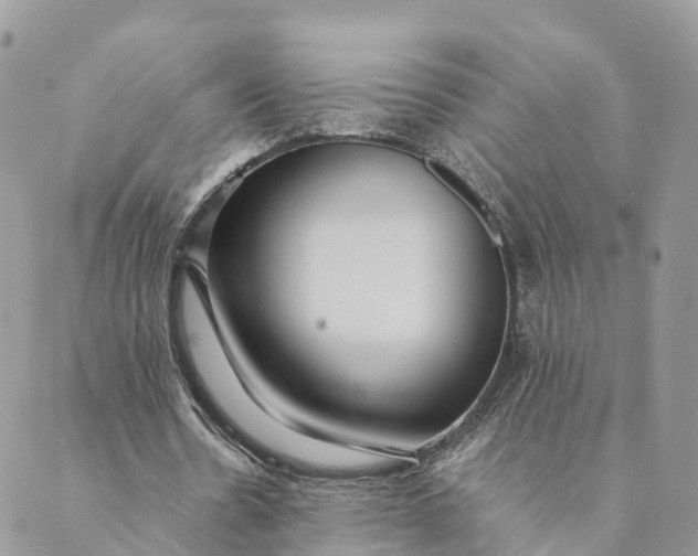 X0000089370530200707061116