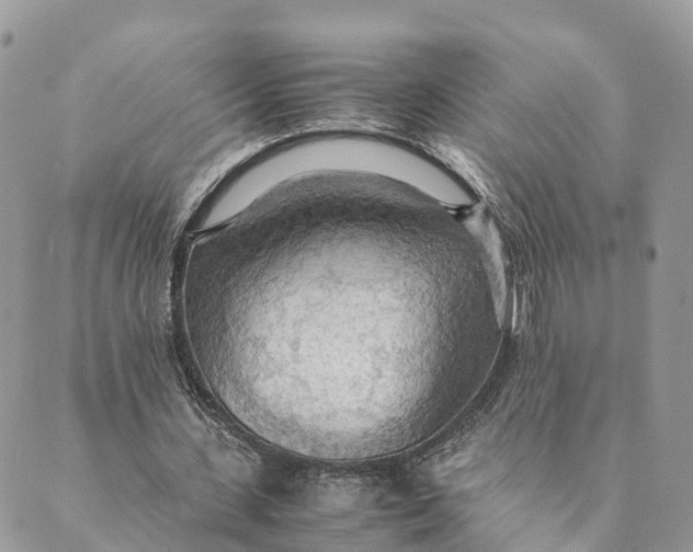 X0000089370531200707061116