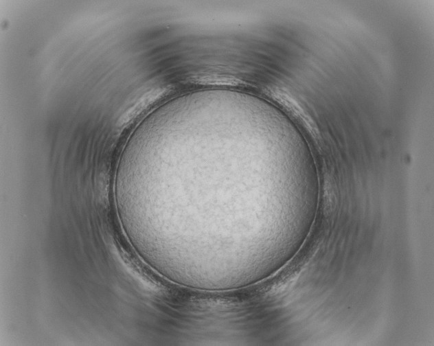 X0000089370533200707061116