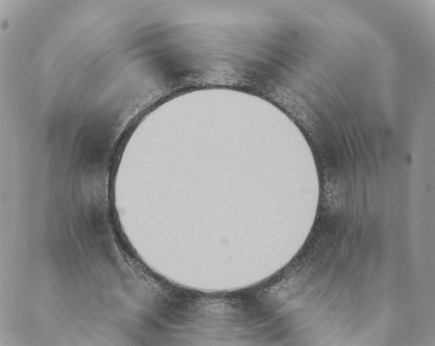 X0000089370534200707061116