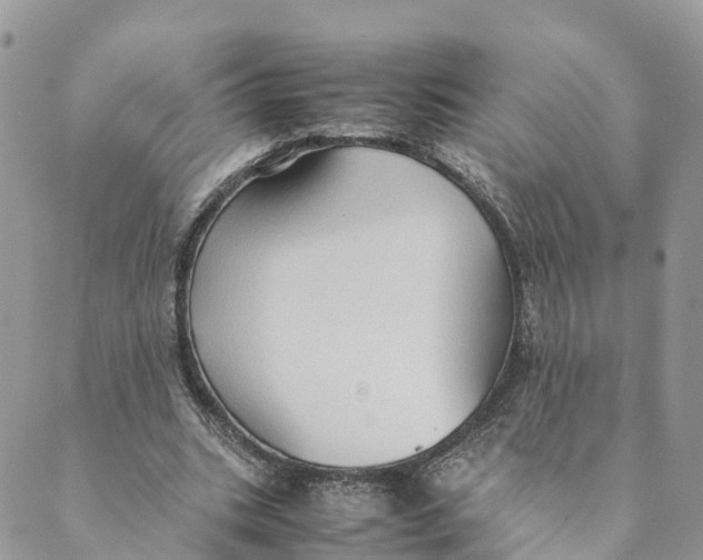 X0000089370535200707061116