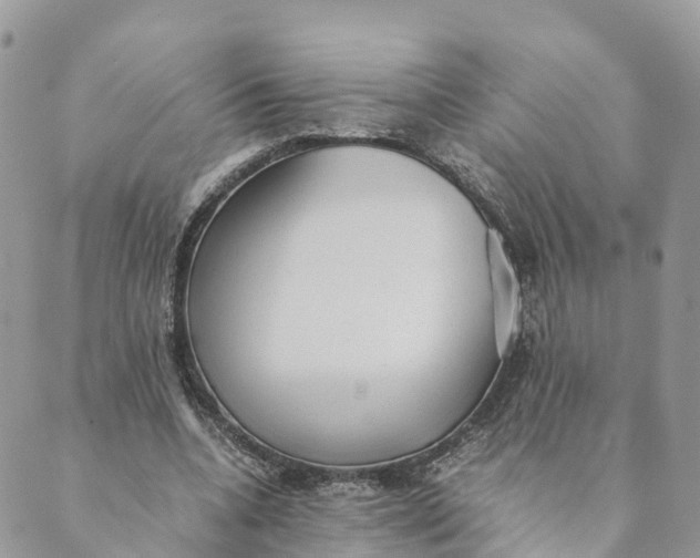 X0000089370536200707061116