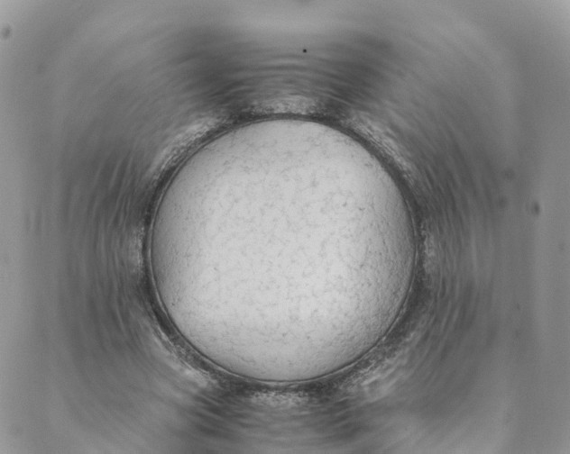 X0000089370537200707061116