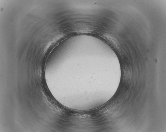 X0000089370539200707061116