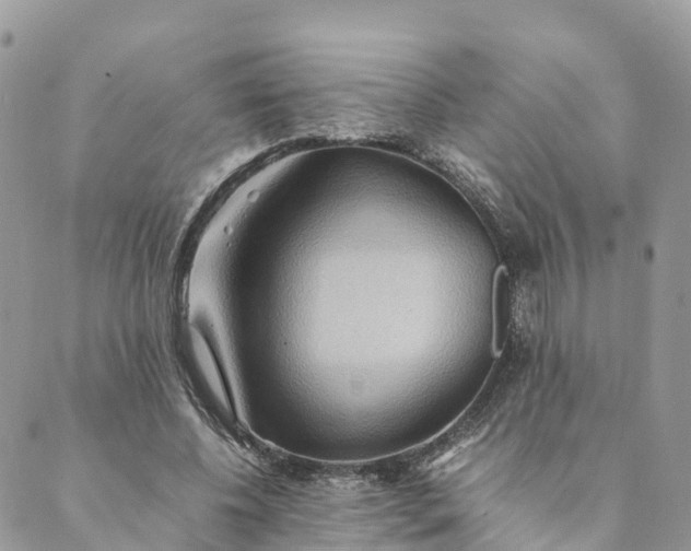 X0000089370540200707061116