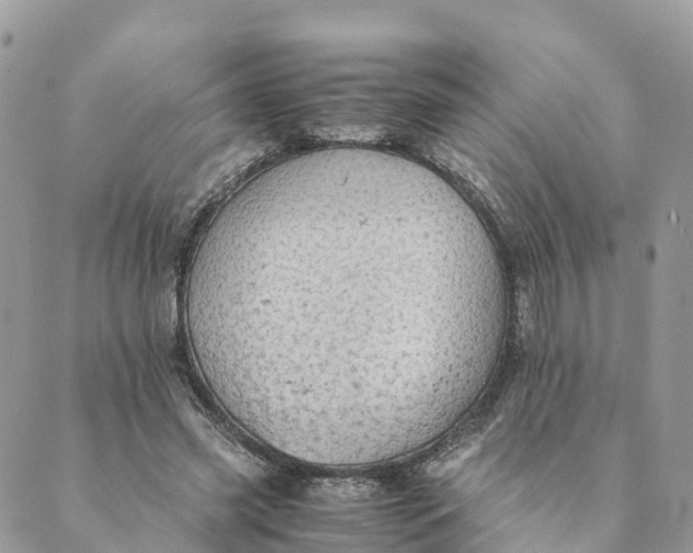 X0000089370541200707061116