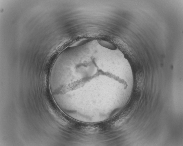 X0000089370542200707061117