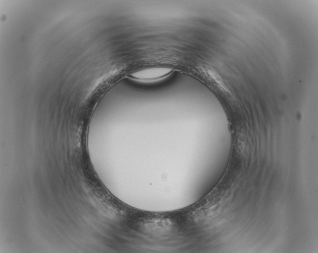 X0000089370543200707061117