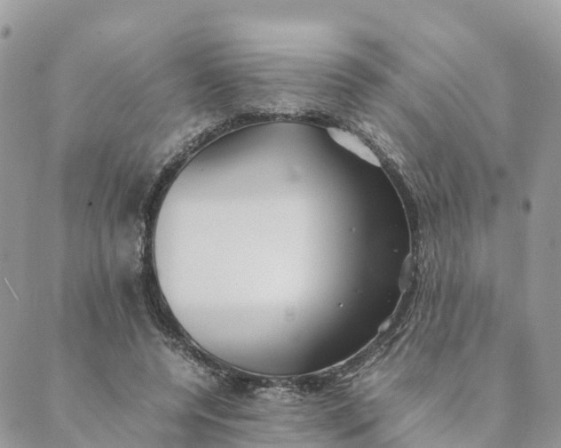 X0000089370544200707061117