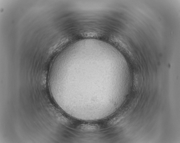 X0000089370545200707061117