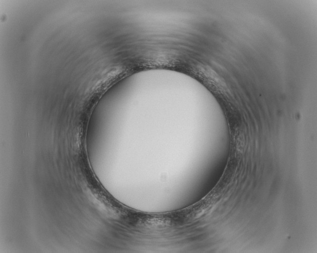 X0000089370546200707061117