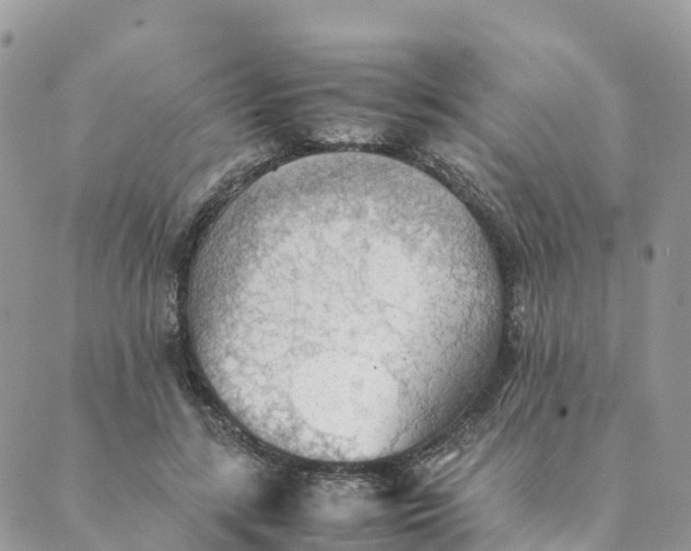 X0000089370547200707061117