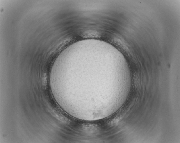 X0000089370549200707061117