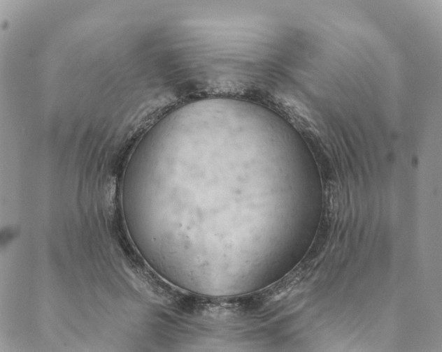 X0000089370550200707061117