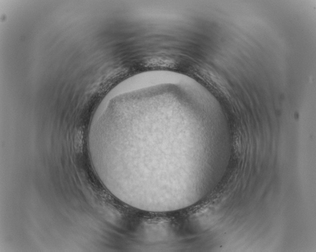 X0000089370551200707061117