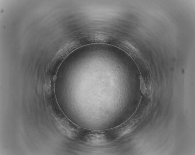 X0000089370552200707061117