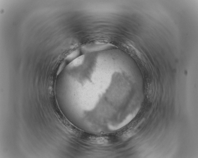 X0000089370553200707061117