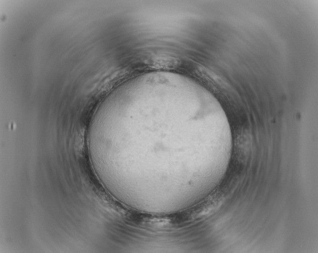 X0000089370554200707061117