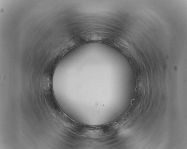 X0000089370555200707061117