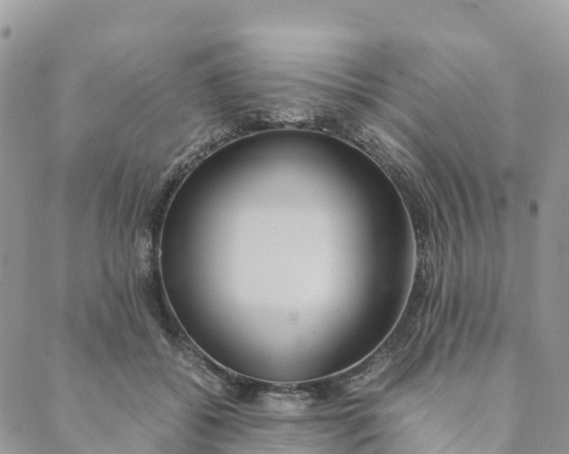 X0000089370556200707061117