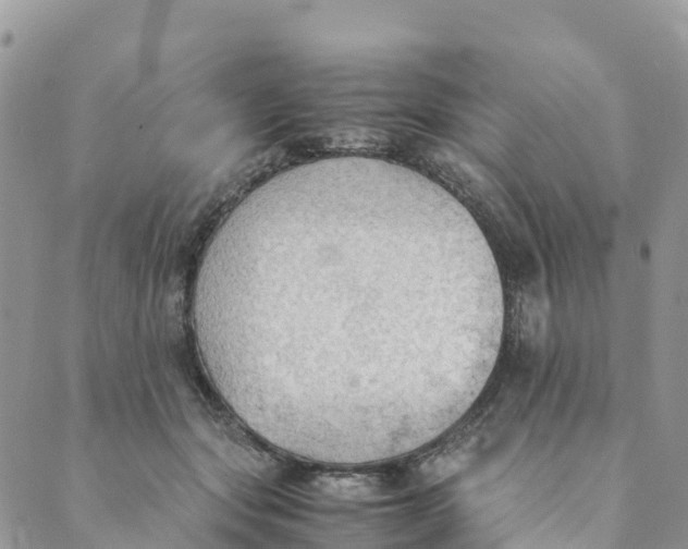 X0000089370557200707061117