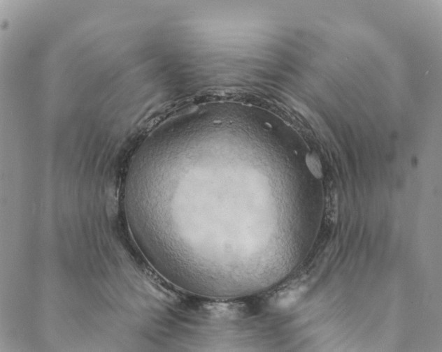 X0000089370558200707061117