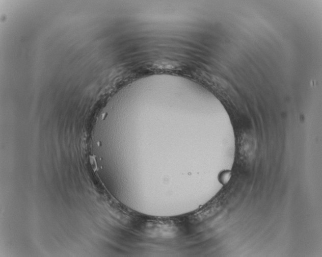 X0000089370559200707061117