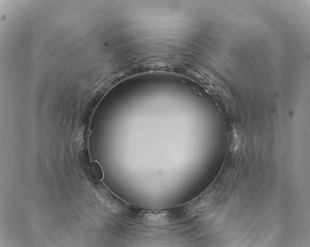 X0000089370560200707061117