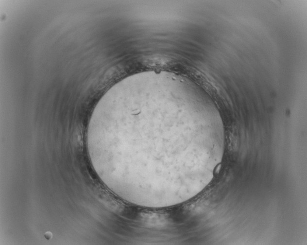 X0000089370561200707061117