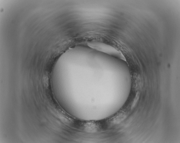 X0000089370562200707061117