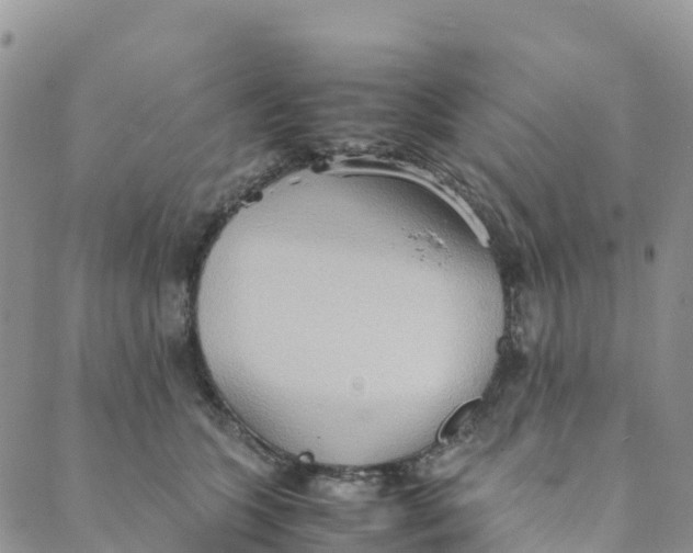 X0000089370563200707061117