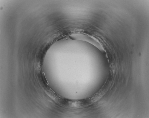 X0000089370564200707061117