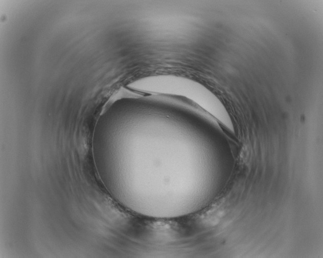 X0000089370566200707061117