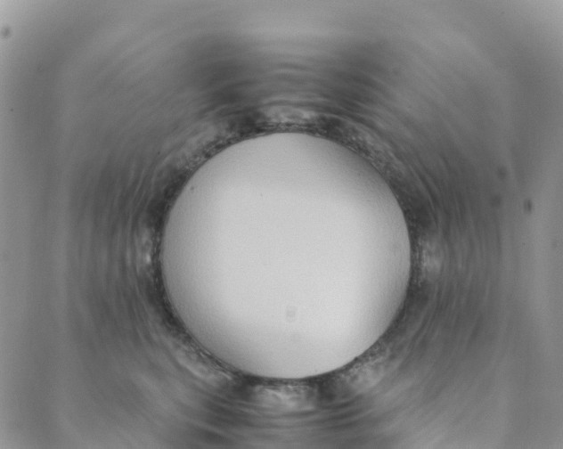 X0000089370567200707061117