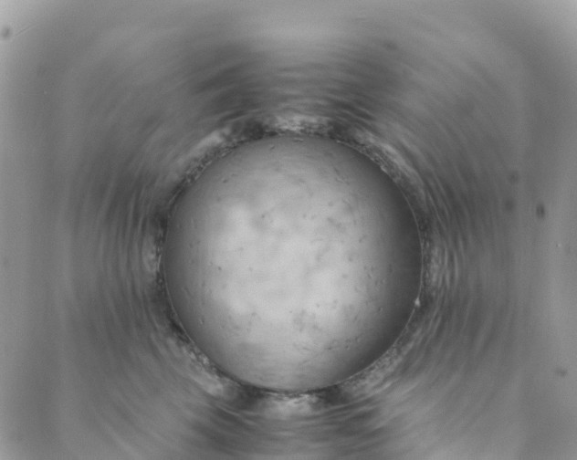 X0000089370569200707061117