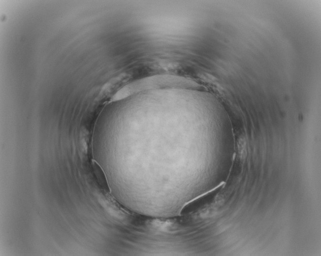 X0000089370570200707061117