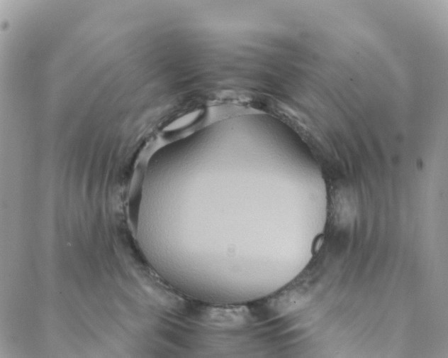 X0000089370571200707061117