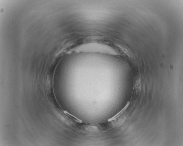 X0000089370572200707061117