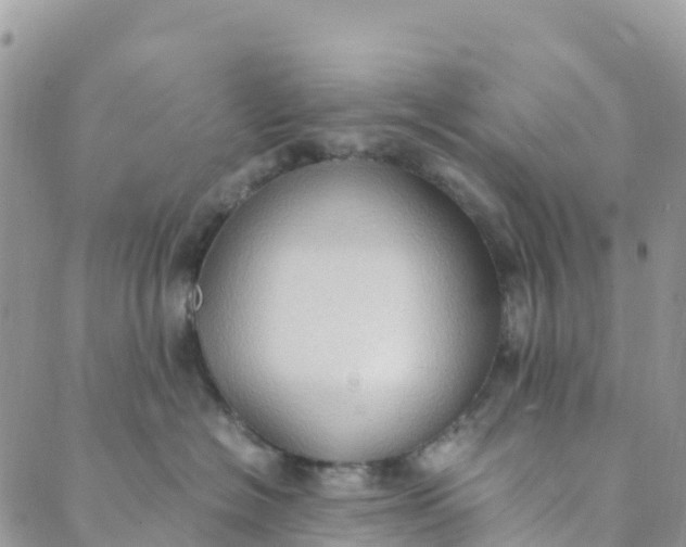 X0000089370574200707061117