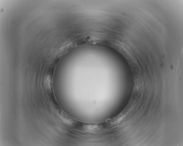 X0000089370575200707061117