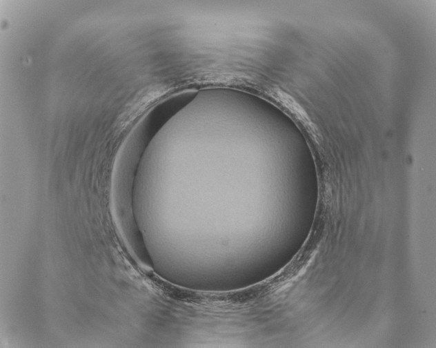 X0000089370577200707061116