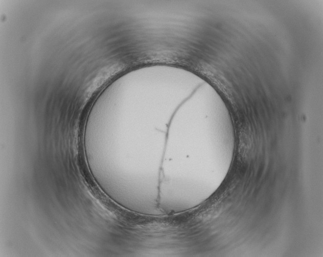 X0000089370578200707061116