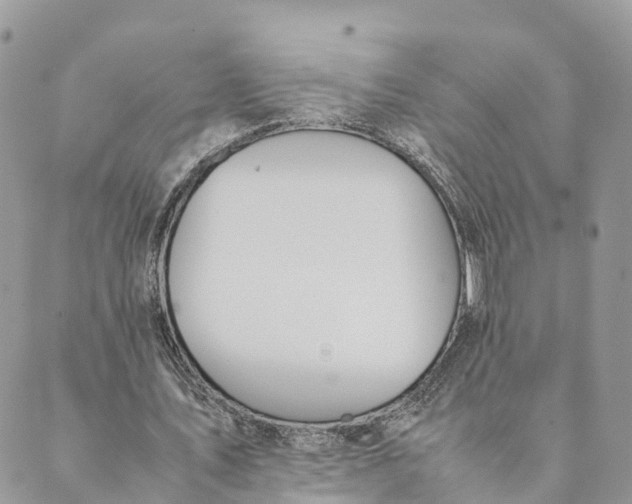 X0000089370579200707061116